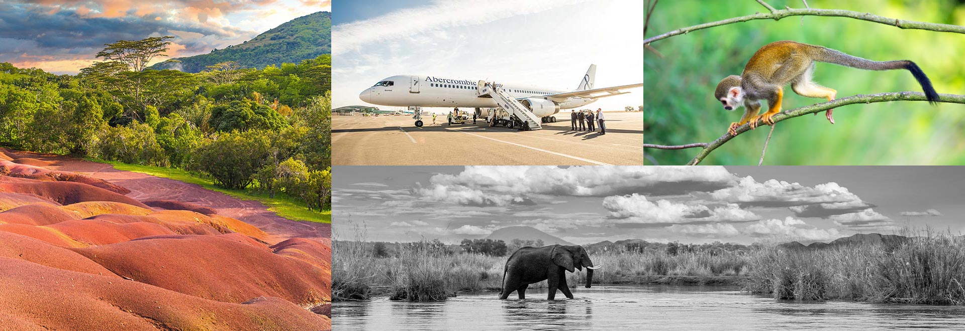 2024 Wildlife Private Jet Nature 