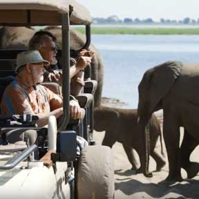 Botswana Safari in Style Botswana Safari in Style