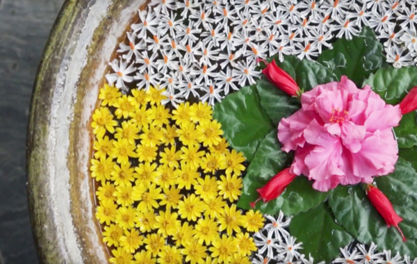 View Our Exclusive Video and Lift the Curtain for a Glimpse of Myanmar's Temple-Dotted Plains View Our Exclusive Video and Lift the Curtain for a Glimpse of Myanmar's Temple-Dotted Plains