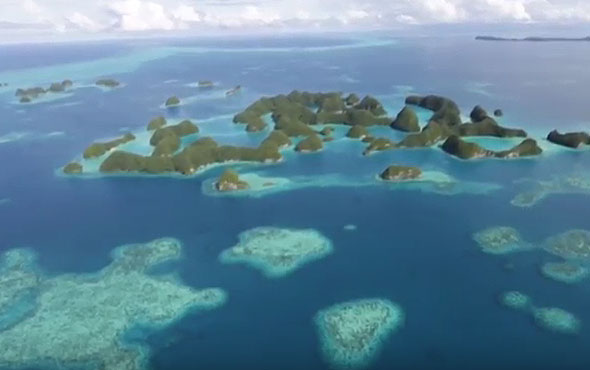 Treasures of Palau